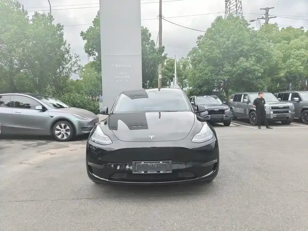 Tesla Model Y 2024 из CN, фото 8