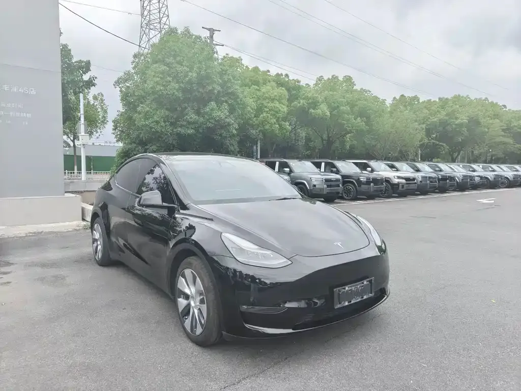 Tesla Model Y 2024 из CN, фото 9