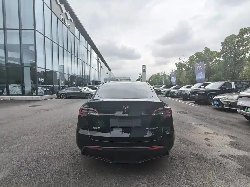 Tesla Model Y 2024 из CN, фото 7