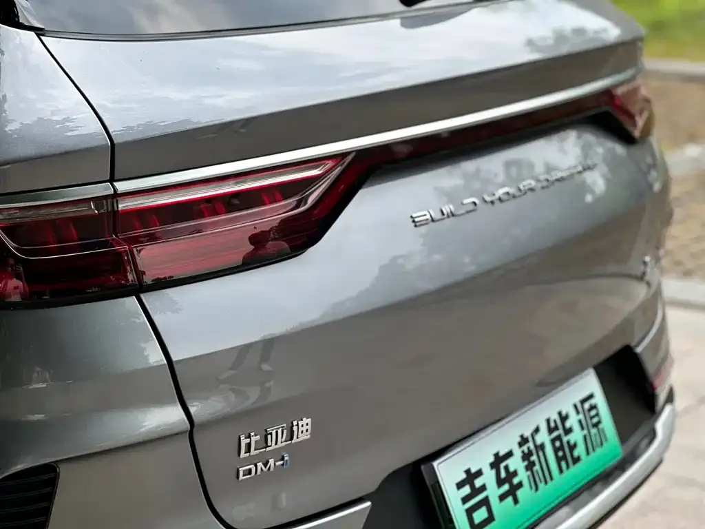 BYD PLUS New Energy — фото 8