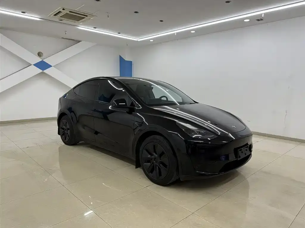 Tesla Model Y — фото 8