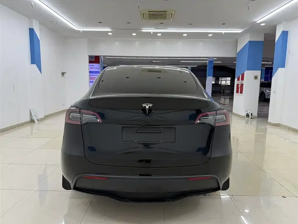 Tesla Model Y — фото 10