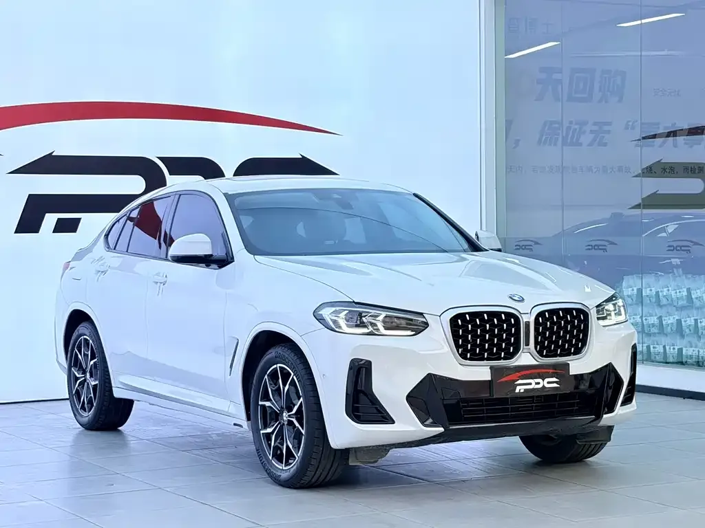 BMW X4 2023 из CN, фото 4