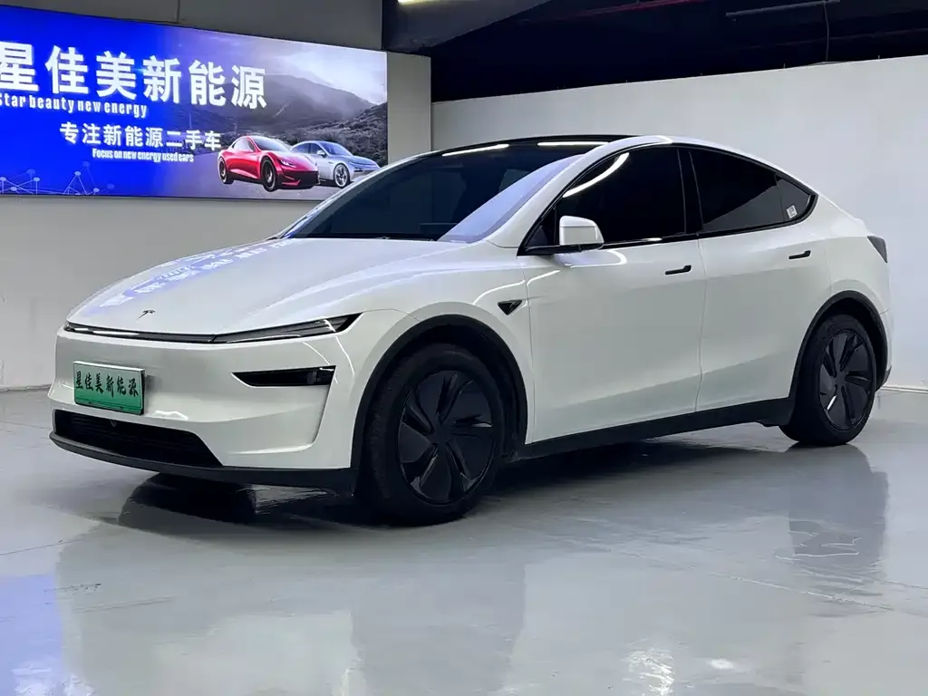 Tesla Model Y — фото 1