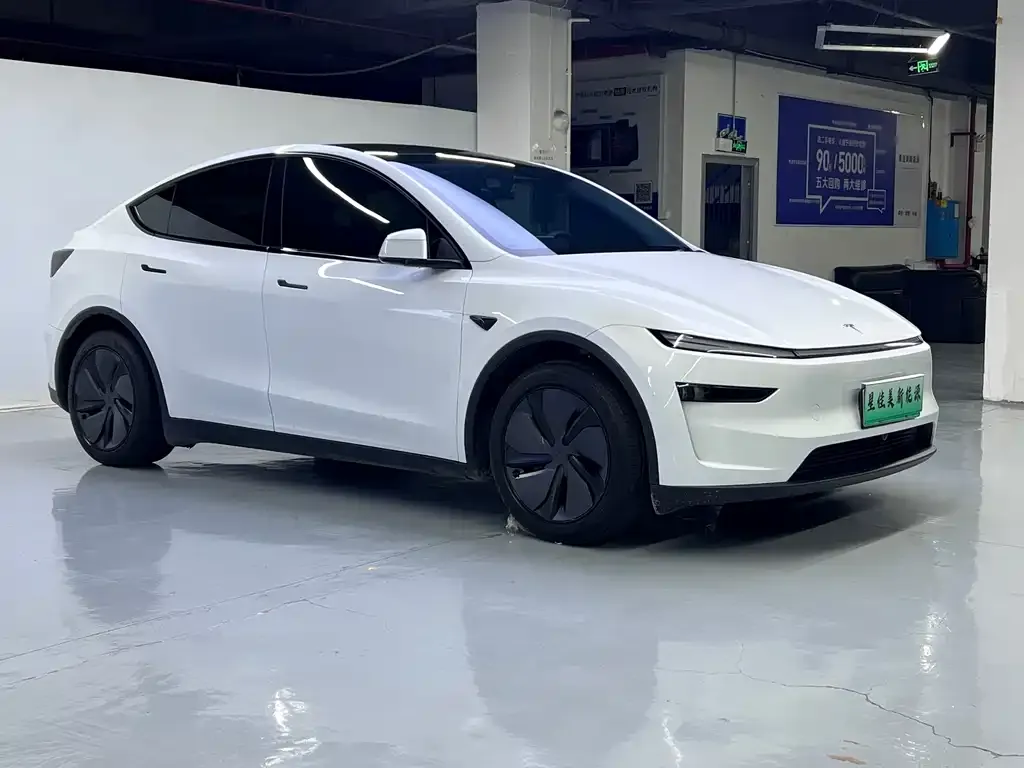 Tesla Model Y — фото 3