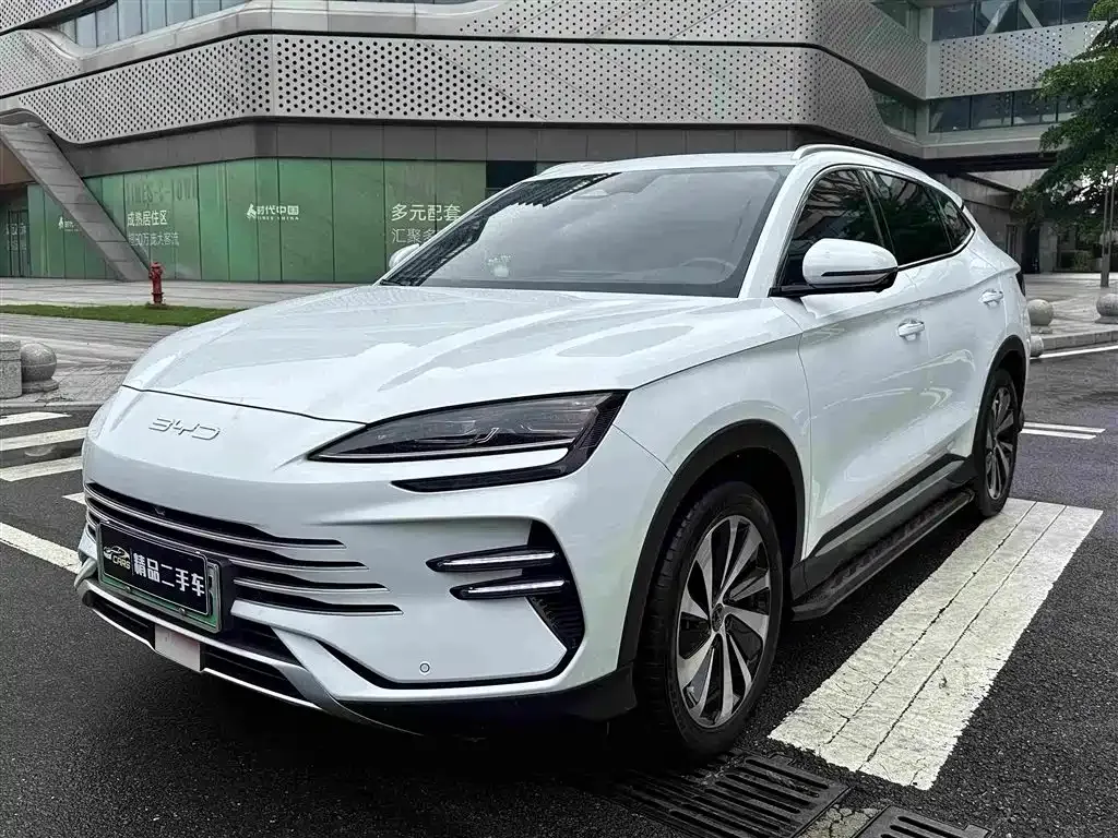 BYD PLUS New Energy — фото 1