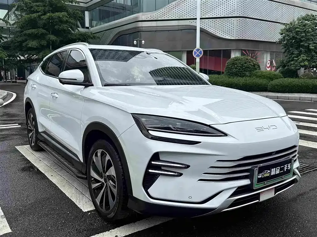 BYD PLUS New Energy — фото 2