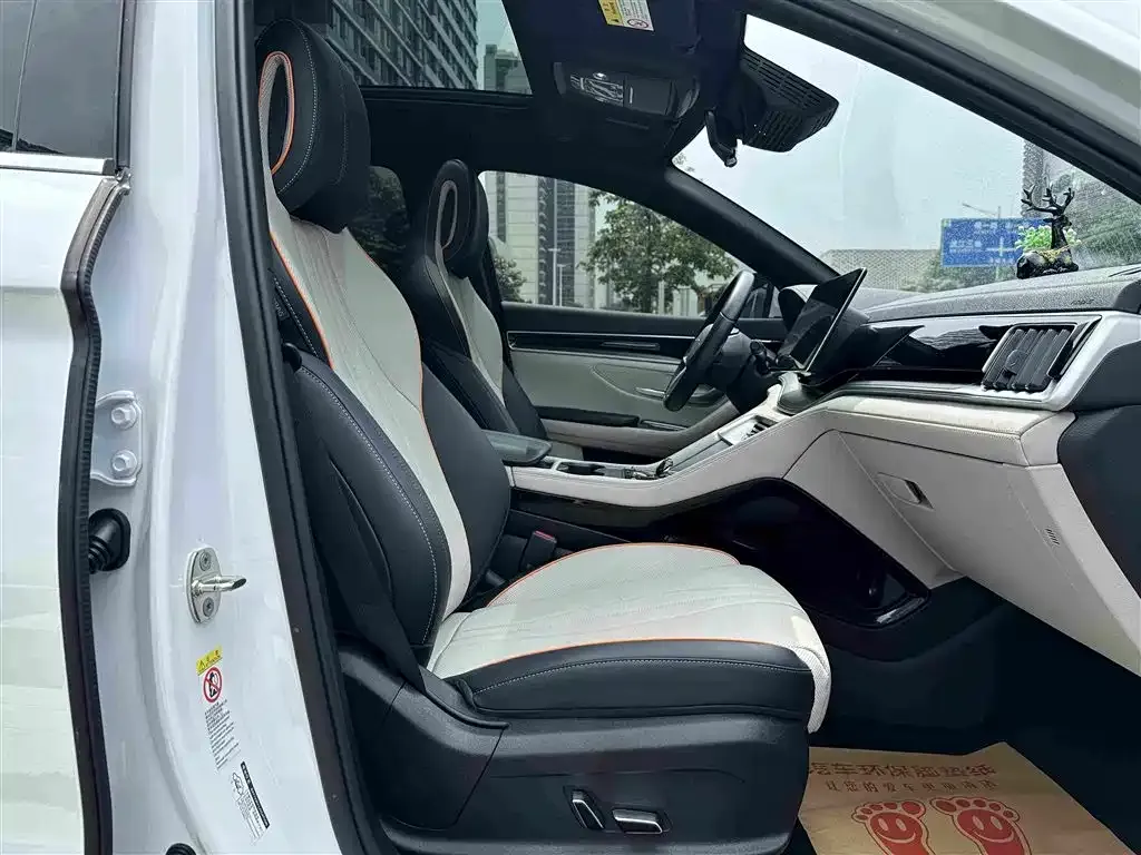 BYD PLUS New Energy — фото 3