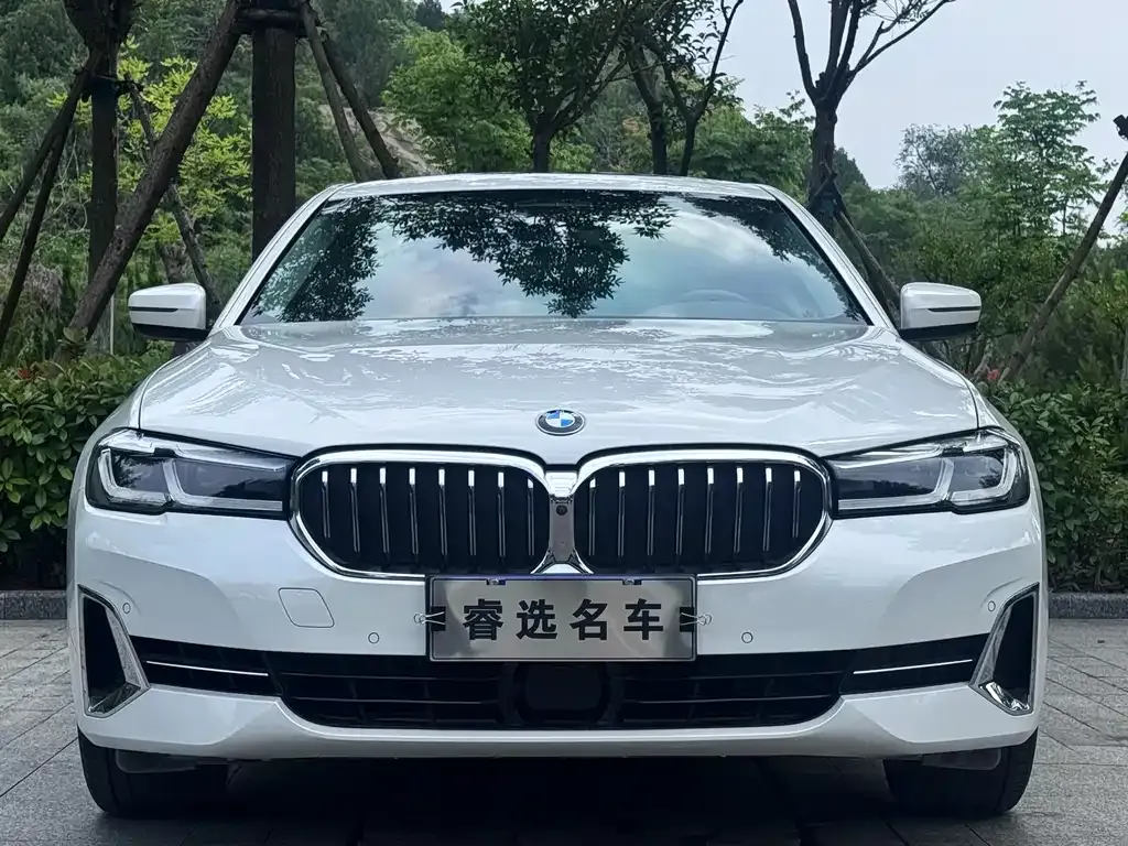 BMW 5 Series 2022 из CN, фото 3