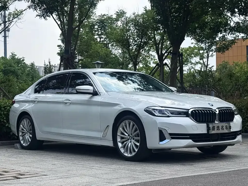 BMW 5 Series 2022 из CN, фото 10