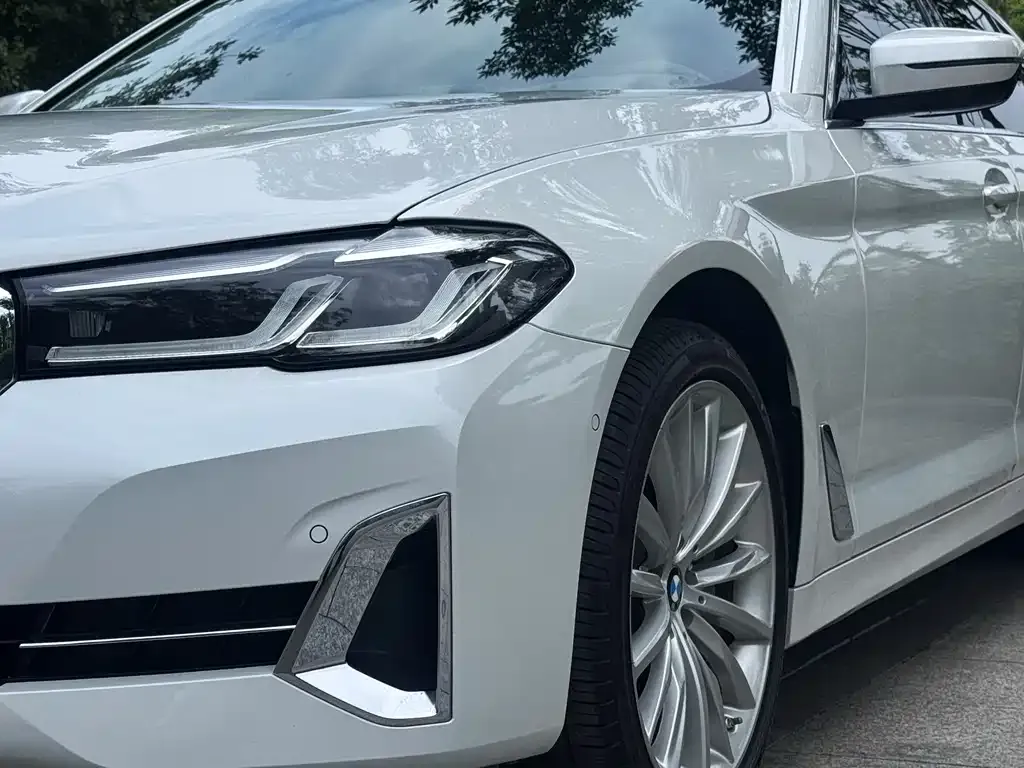 BMW 5 Series 2022 из CN, фото 8