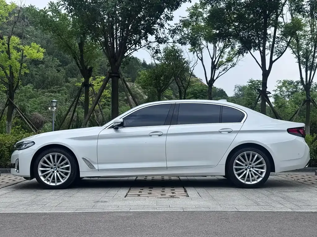 BMW 5 Series 2022 из CN, фото 6