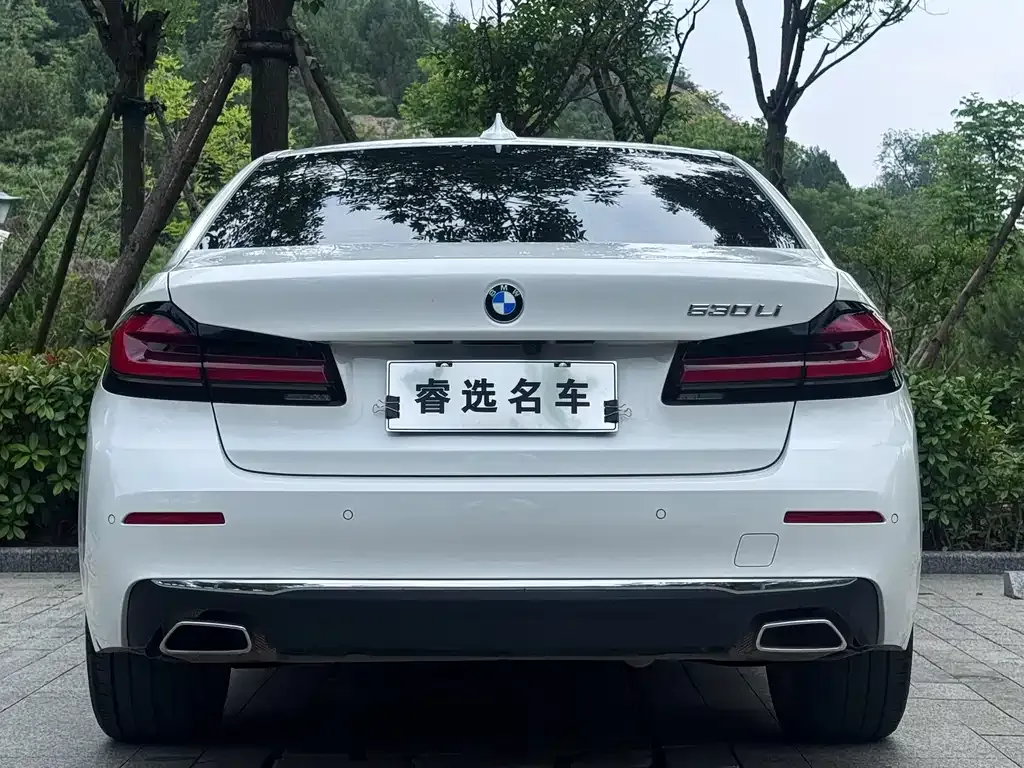 BMW 5 Series 2022 из CN, фото 4
