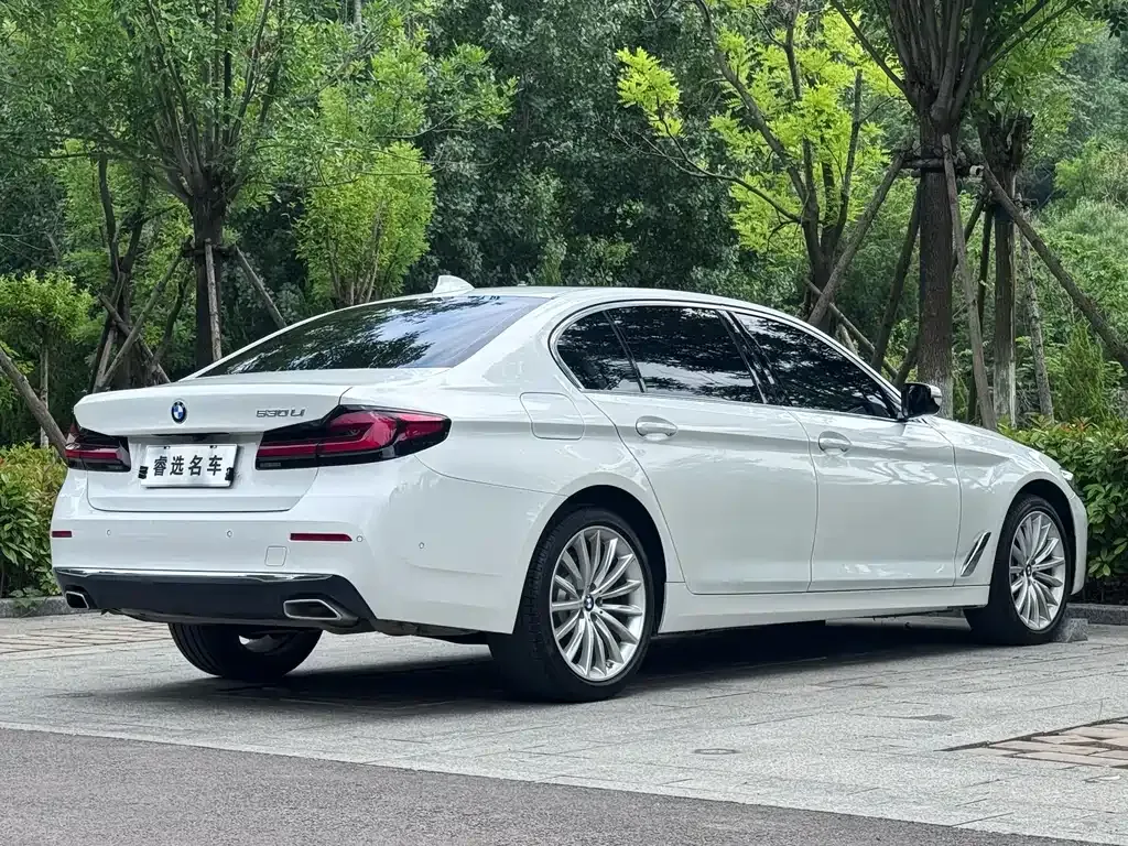 BMW 5 Series 2022 из CN, фото 7