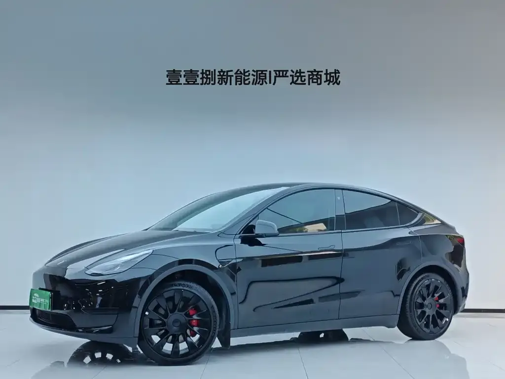 Tesla Model Y — фото 1