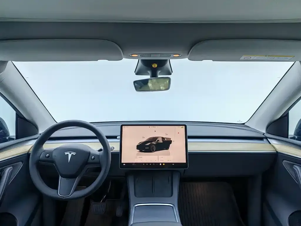 Tesla Model Y — фото 6