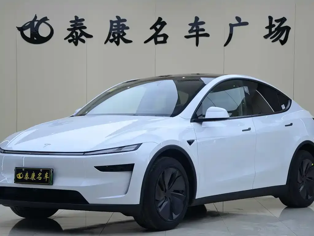 Tesla Model Y — фото 1