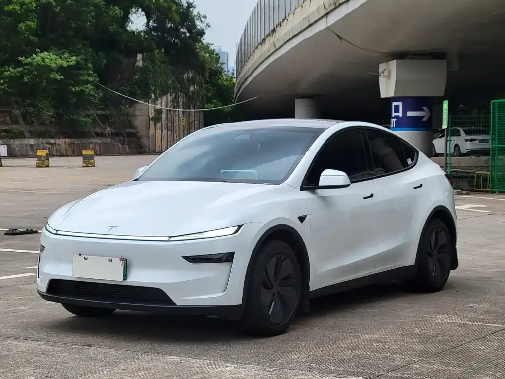 Tesla Model Y — фото 1