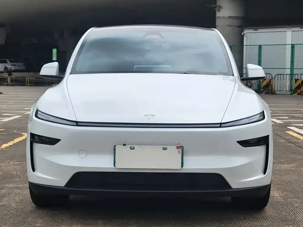 Tesla Model Y — фото 10