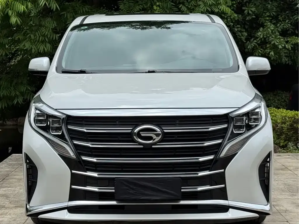 GAC Motor Trumpchi M8 2023 из CN, фото 7
