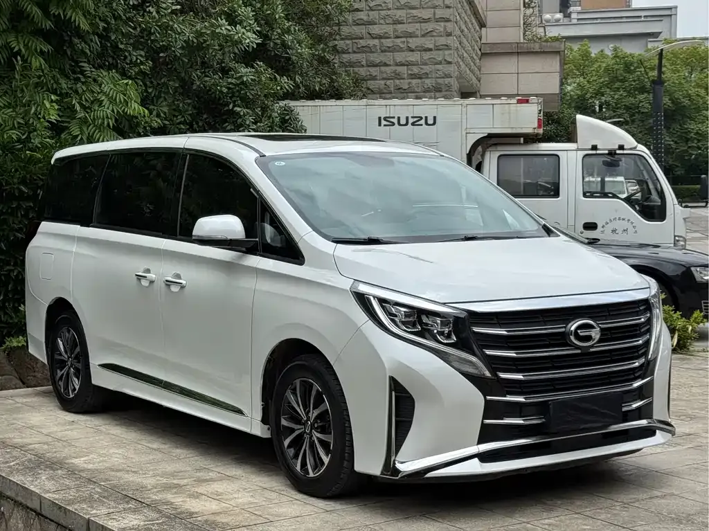 GAC Motor Trumpchi M8 2023 из CN, фото 8