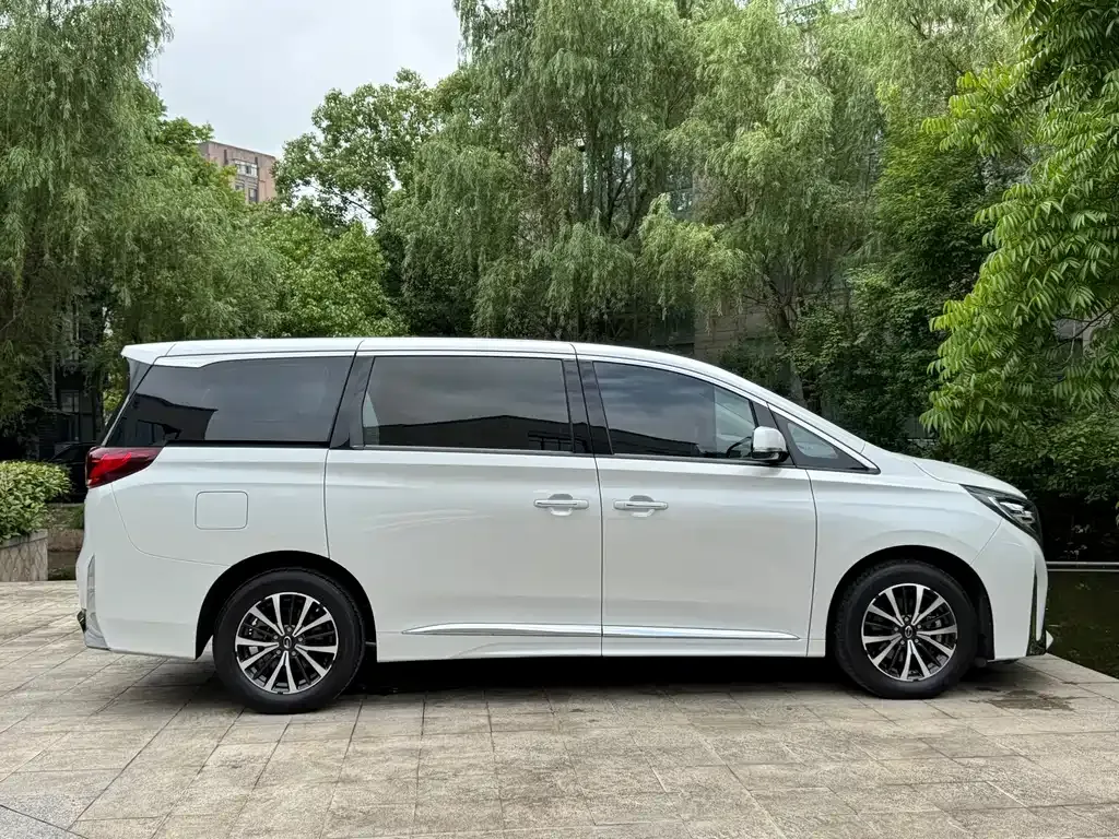 GAC Motor Trumpchi M8 2023 из CN, фото 6