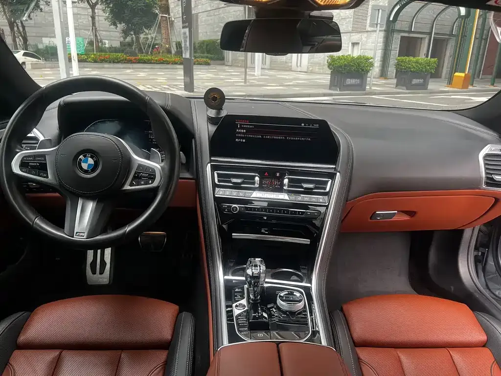 BMW 8 Series 2021 из CN, фото 10