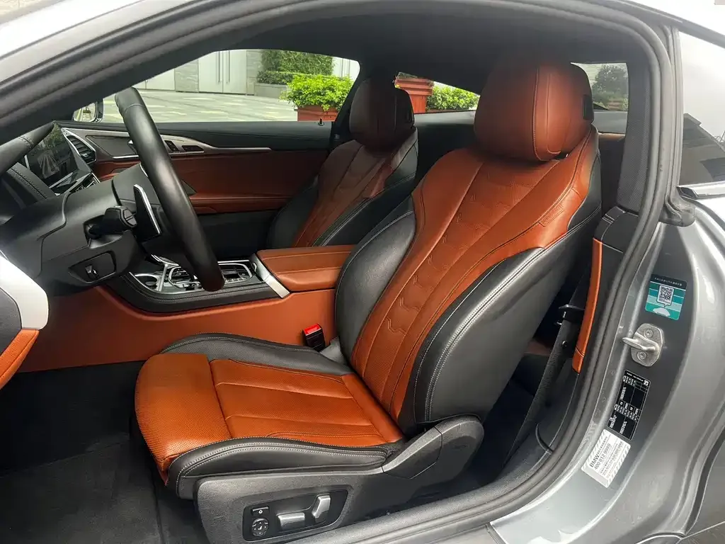 BMW 8 Series 2021 из CN, фото 2
