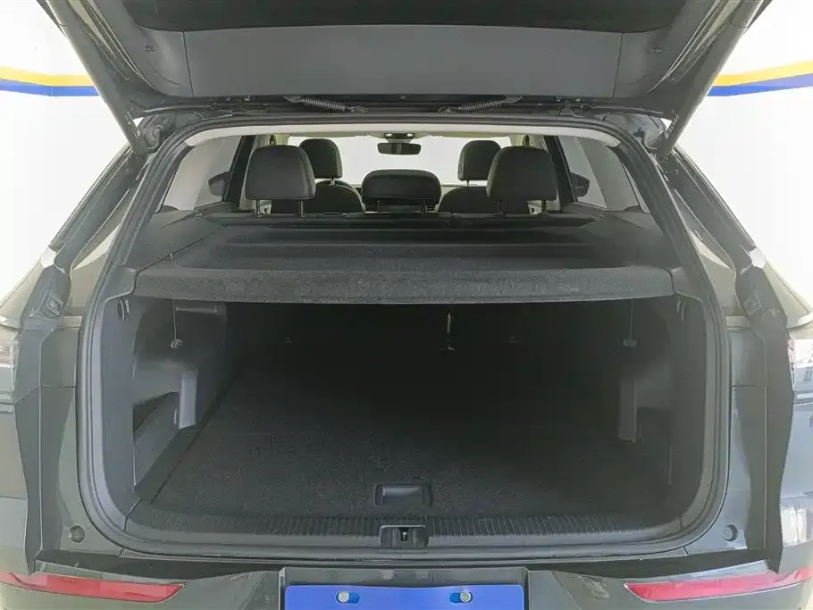 Volkswagen Tavendor 2024 из CN, фото 7