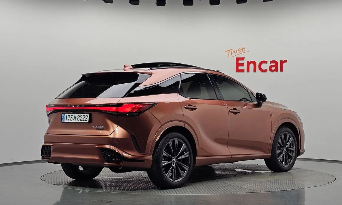 Lexus RX 2024 из KR, фото 10