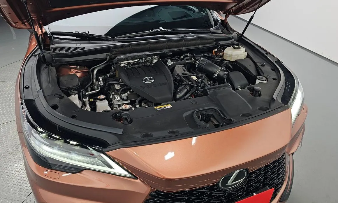 Lexus RX 2024 из KR, фото 4
