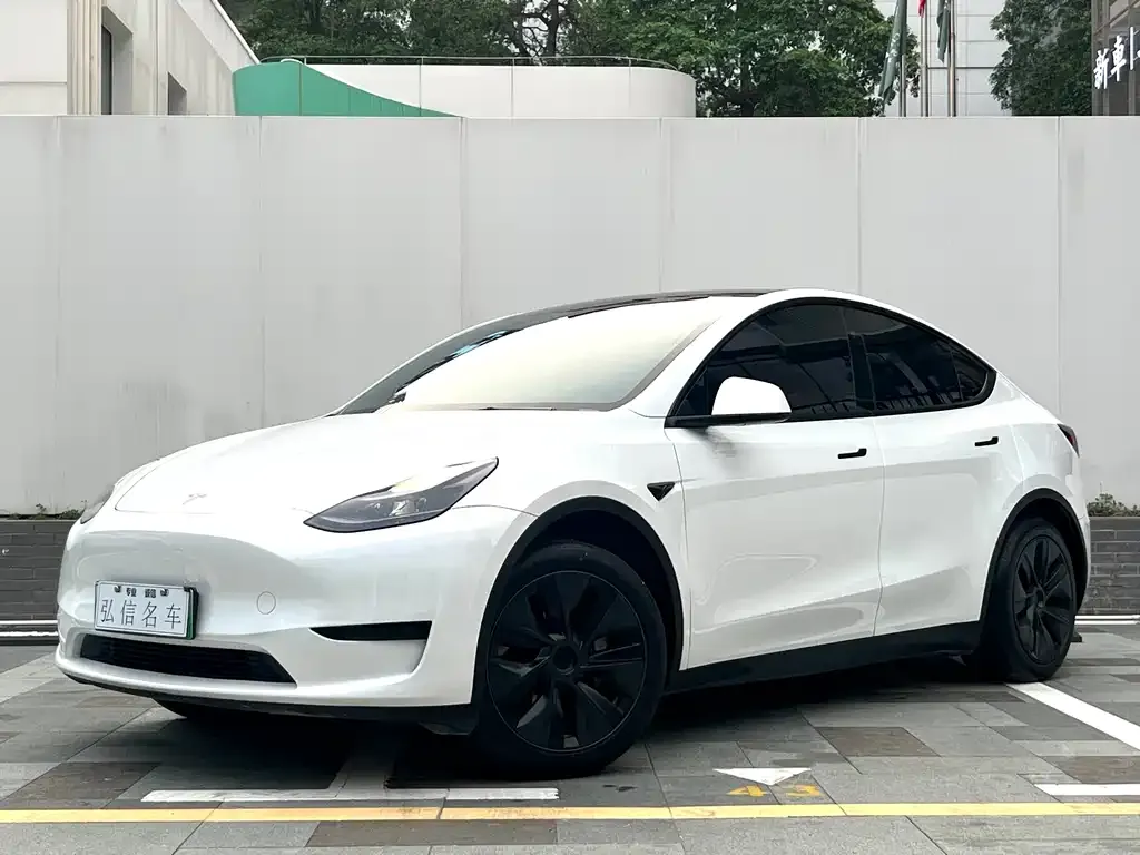 Tesla Model Y — фото 1