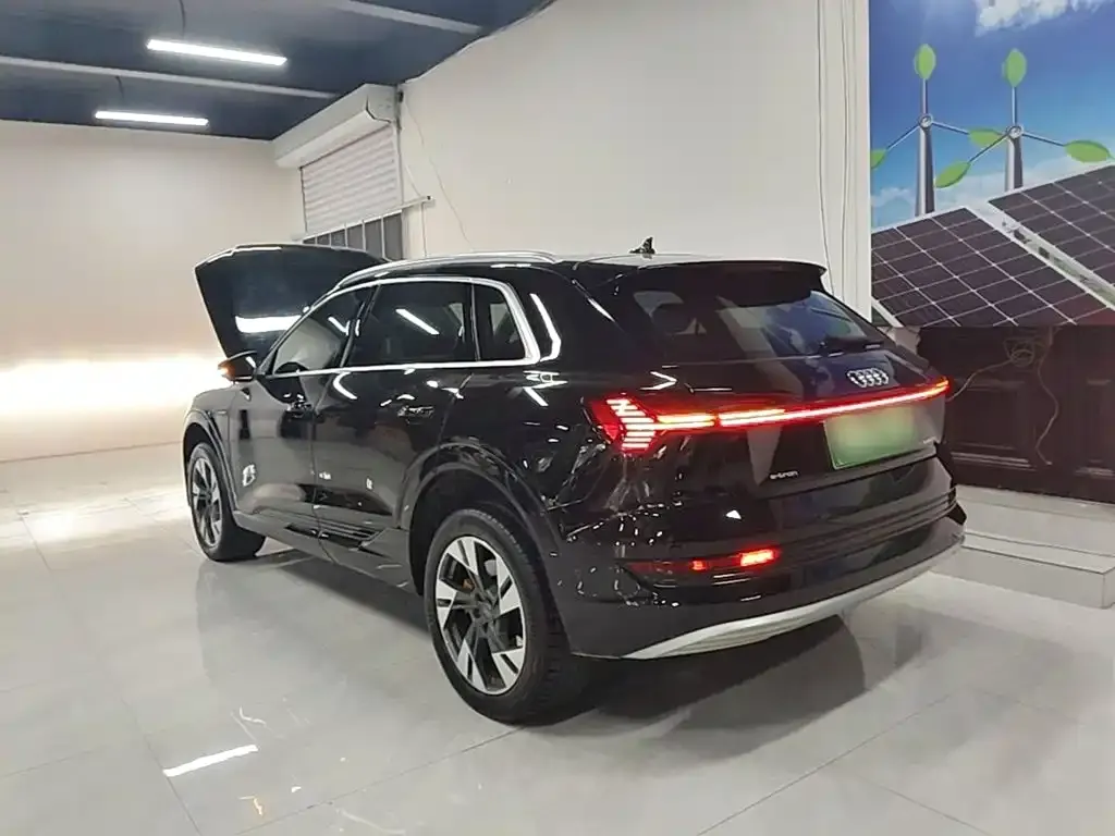 Audi e-tron (Import) 2021 из CN, фото 7