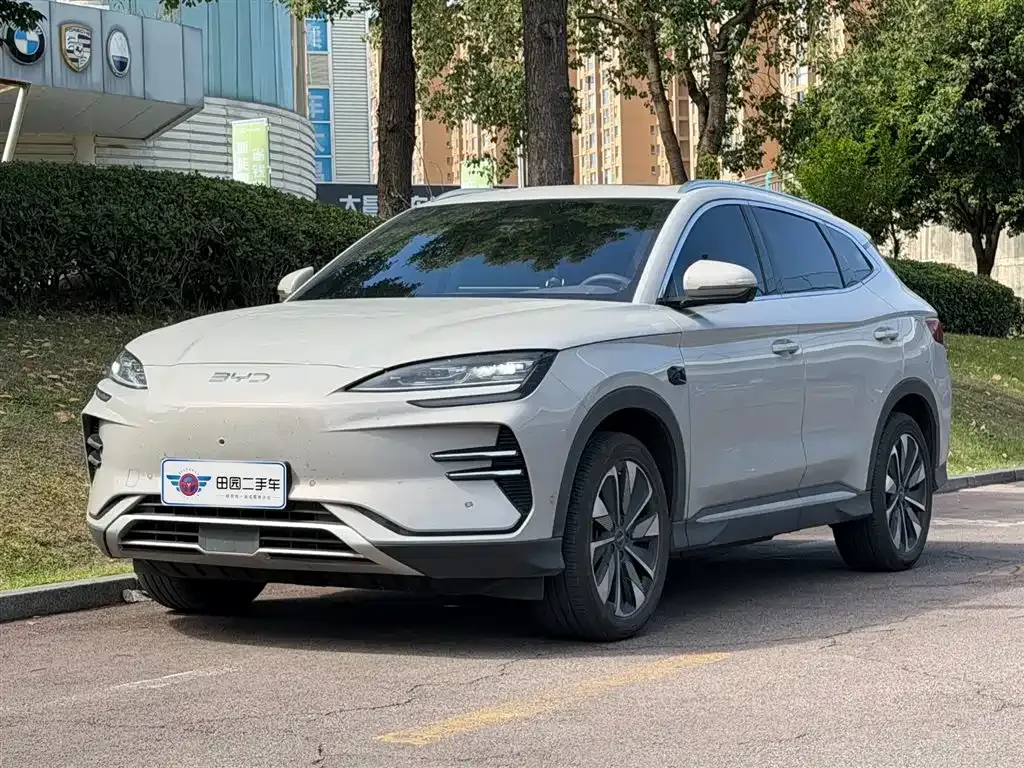 BYD PLUS New Energy — фото 1