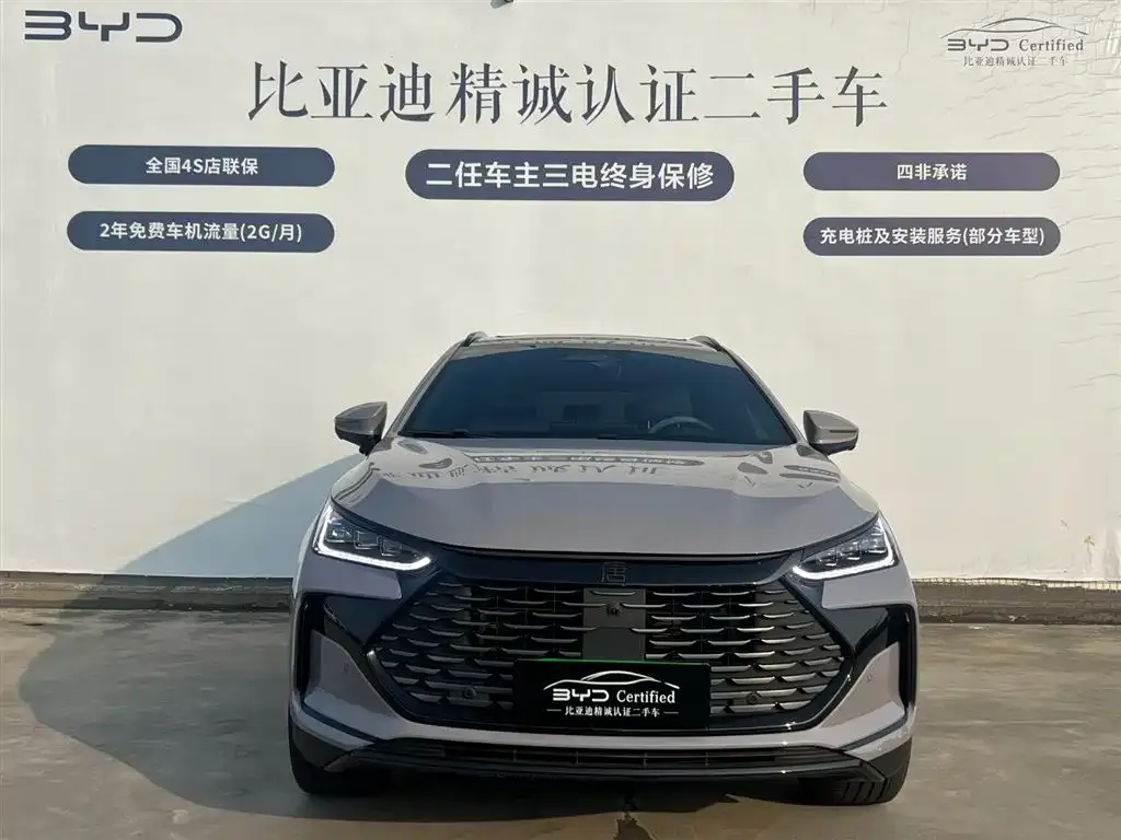 BYD Tang New Energy — фото 4
