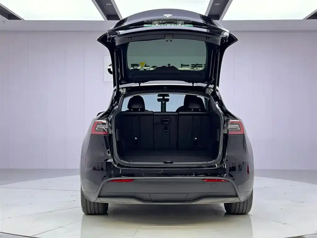 Tesla Model Y — фото 5