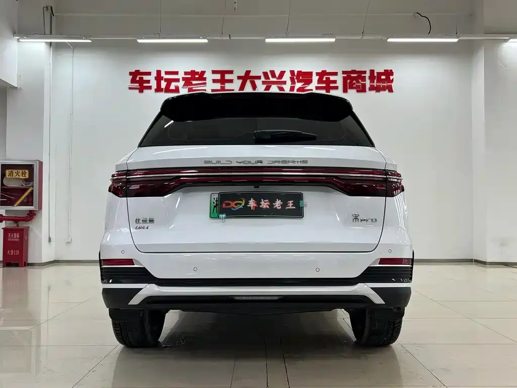 BYD Pro New Energy — фото 6
