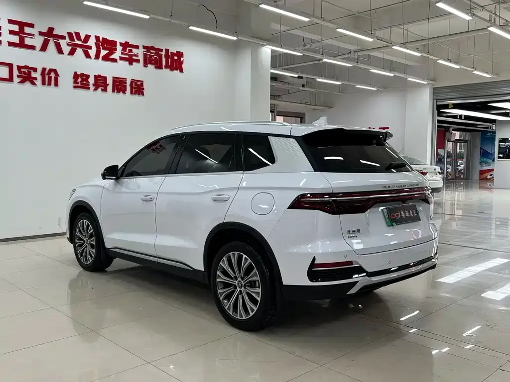 BYD Pro New Energy — фото 9