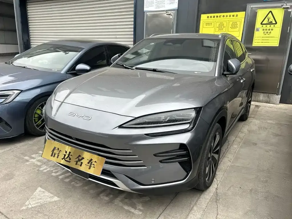 BYD PLUS New Energy — фото 1