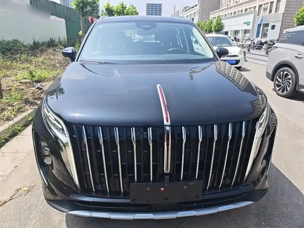 Hongqi HS7 PHEV 2025 из CN, фото 3
