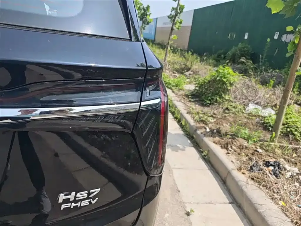 Hongqi HS7 PHEV 2025 из CN, фото 5