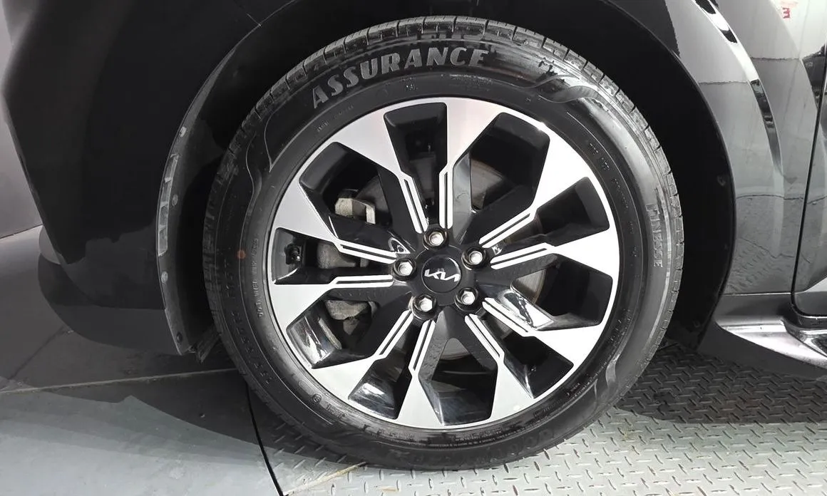 Kia Carnival — фото 10