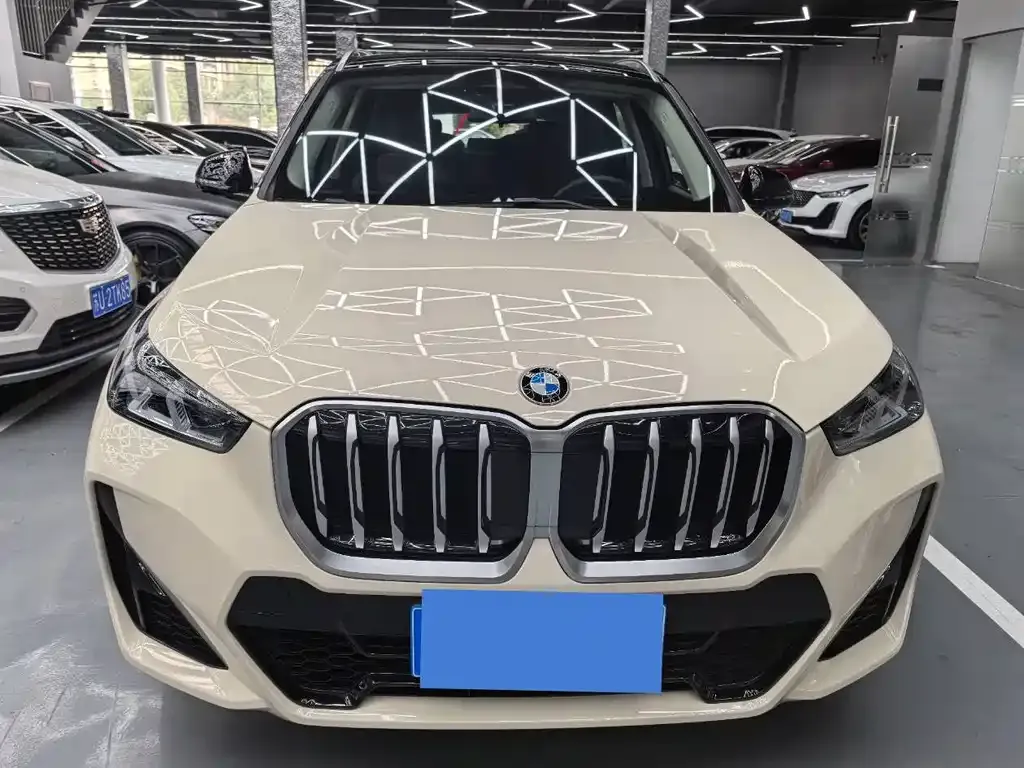 BMW X1 2023 из CN, фото 9