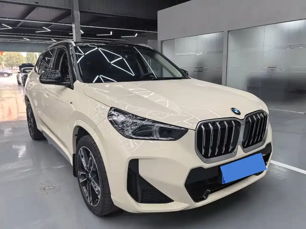 BMW X1 2023 из CN, фото 10