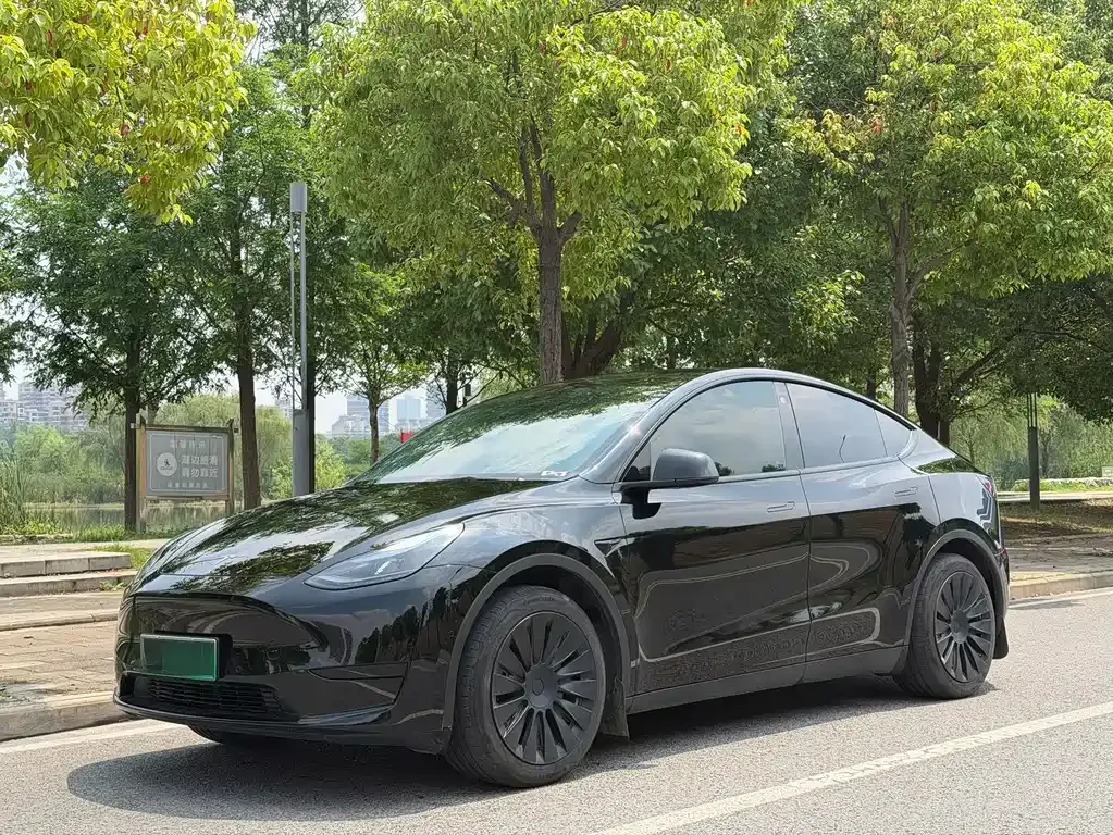 Tesla Model Y — фото 1