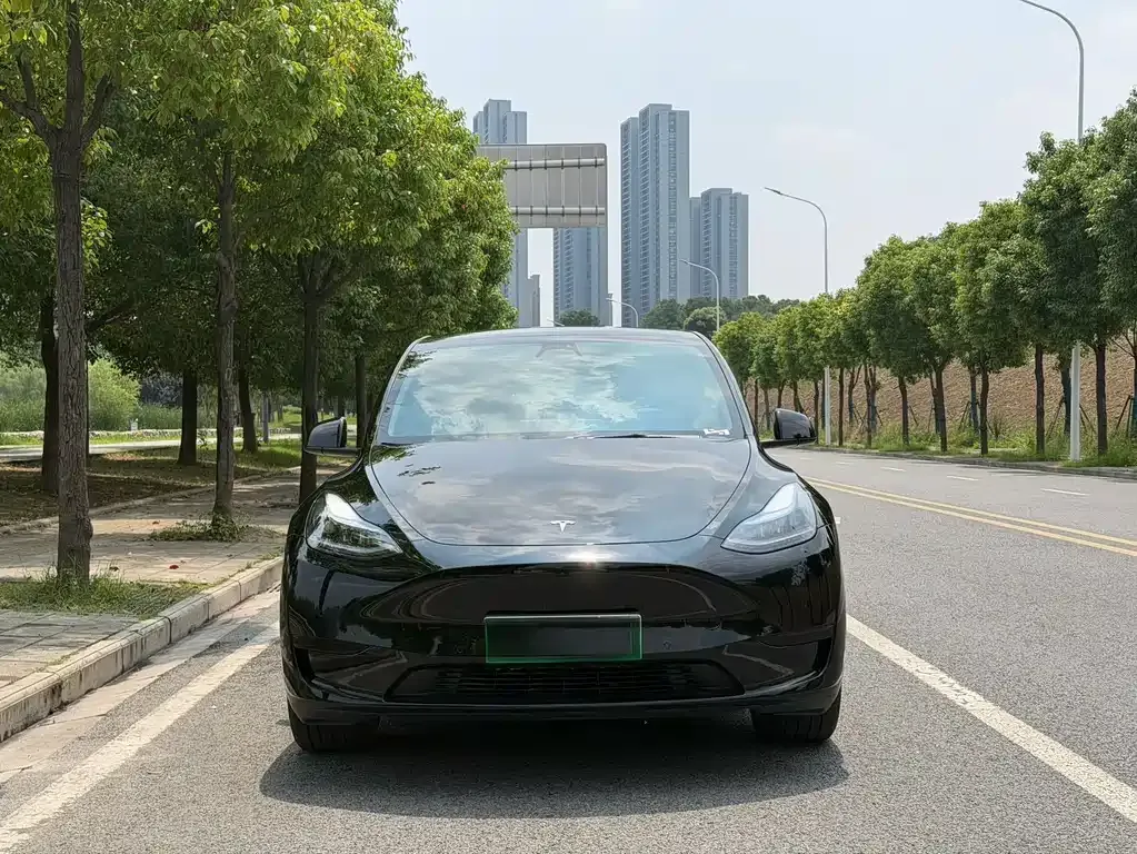 Tesla Model Y — фото 5