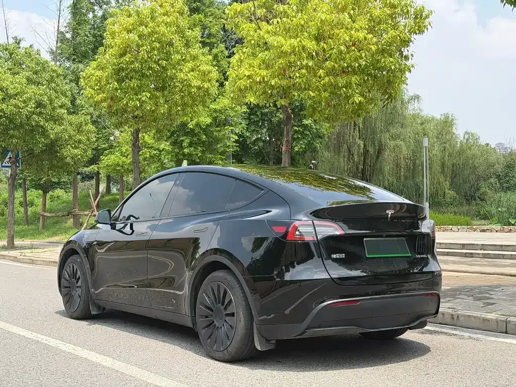 Tesla Model Y — фото 9
