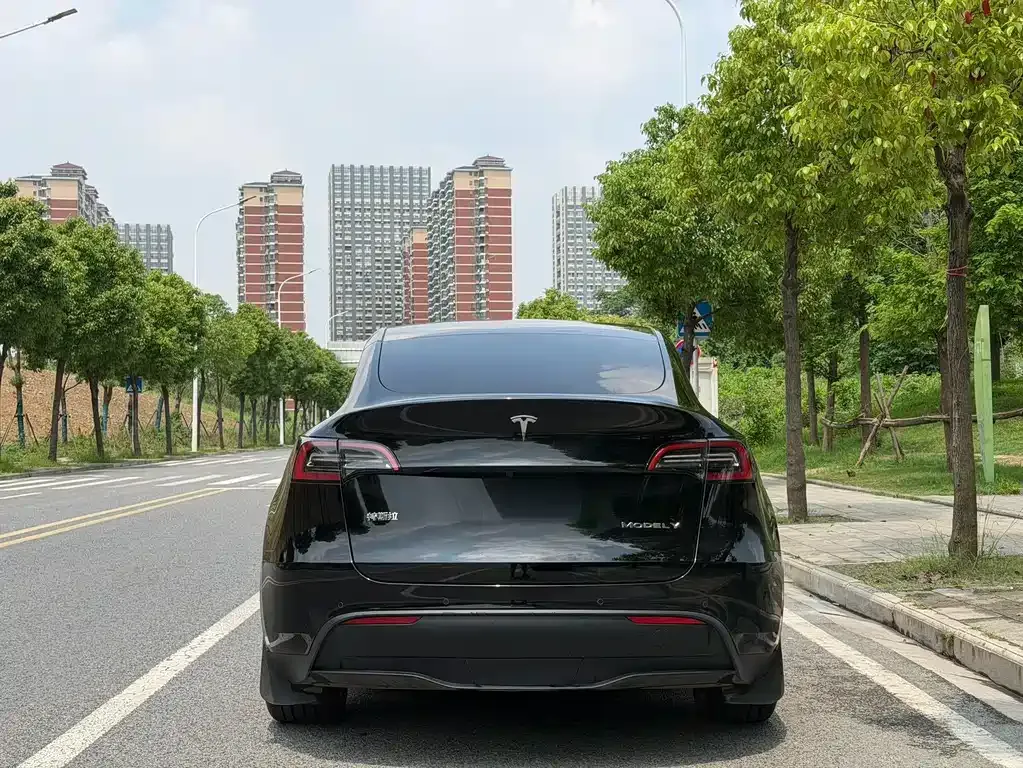 Tesla Model Y — фото 6