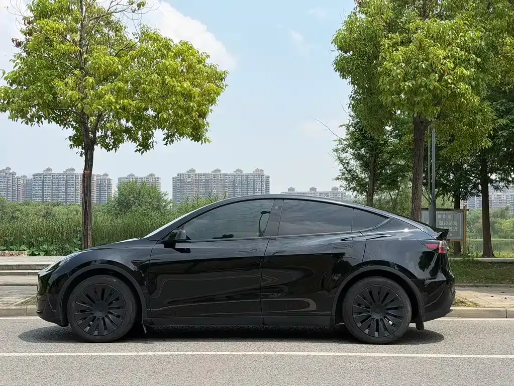Tesla Model Y — фото 7