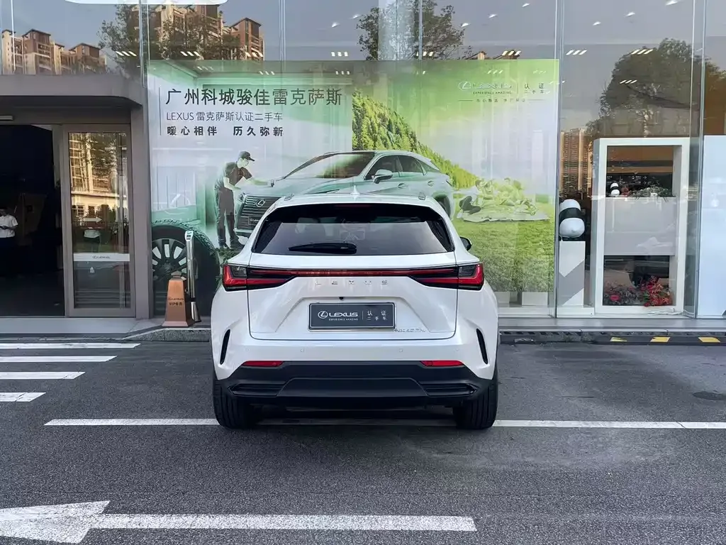 Lexus NX New Energy 2022 из CN, фото 10